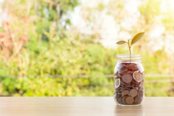 これから資産が育つのを待つ様子