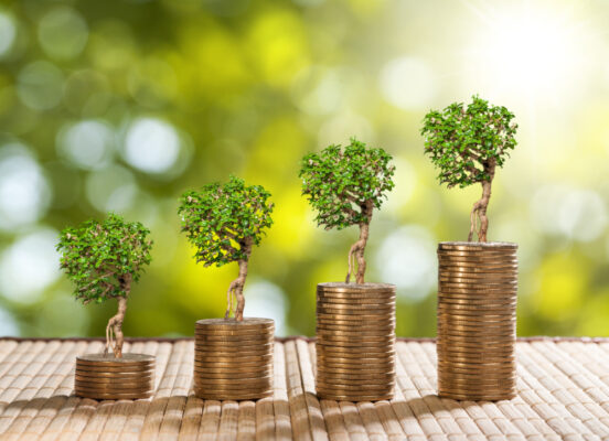 資産を着実に成長させる可能性