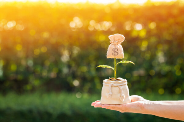 運用で遺産を育てる